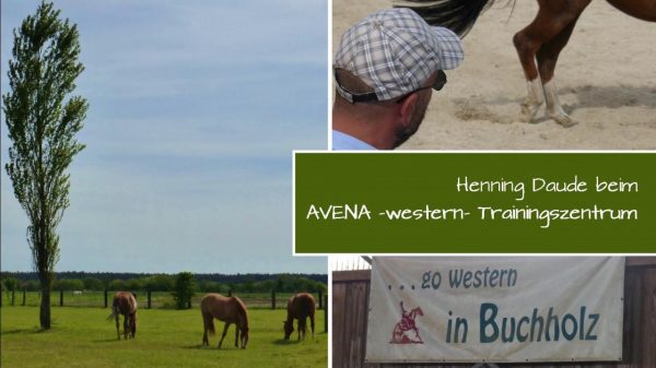 Turniervorbereitungen bei „Avena“