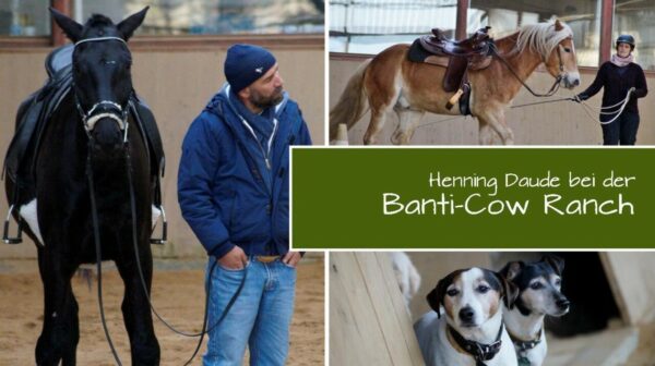 Vier Tage bei der „Banti-Cow Ranch“