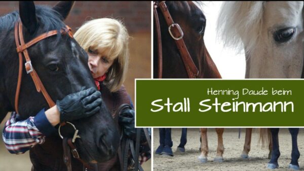 Intensivtraining beim „Stall Steinmann“