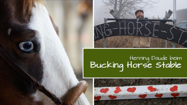 Ein Wochenende bei Anki Kühls „Bucking Horse Stable“