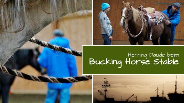 Der traditionelle Jahreskurs beim „Bucking Horse Stable“