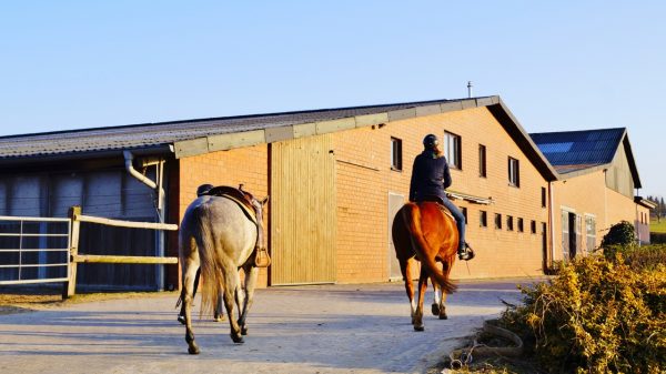 Reitanlage Köllerwirth