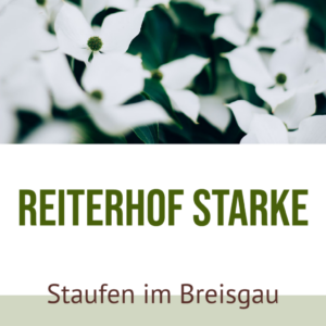 Reiterhof Starke