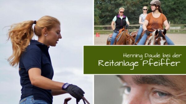 Sommerkurs bei der „Reitanlage Pfeiffer“