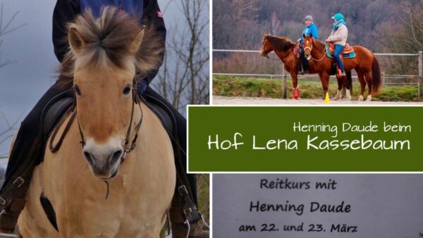 Frühling im Harz bei Lena Kassebaum