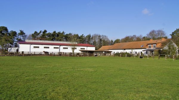 Horsemanship Am Löhbusch