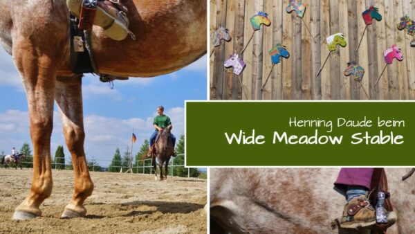 Erstmals beim „Wide Meadow Stable“