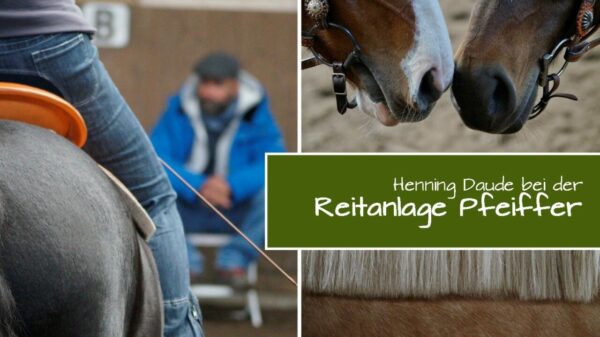 Herbst-Kurs bei der „Reitanlage Pfeiffer“