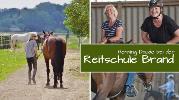 Letzter Teil der Brandenburg-Tour bei der „Reitschule Brand“