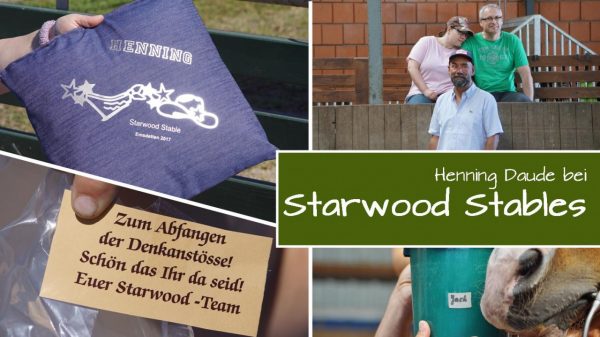 Sommerliches Wochenende bei „Starwood Stables“