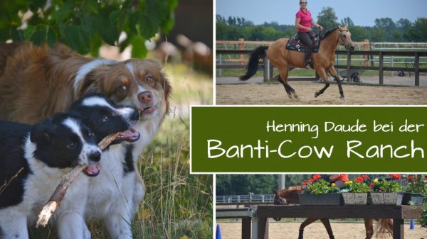 Vier Tage bei der „Banti-Cow Ranch“