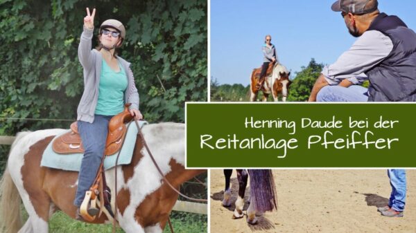 Traumhaftes Reitwetter bei der „Reitanlage Pfeiffer“