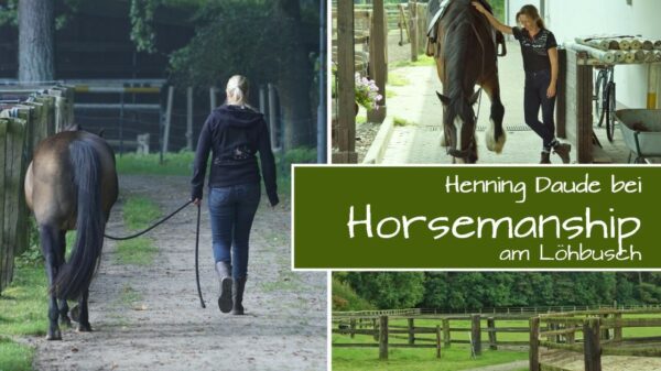 Drei Tage bei „Horsemanship am Löhbusch“