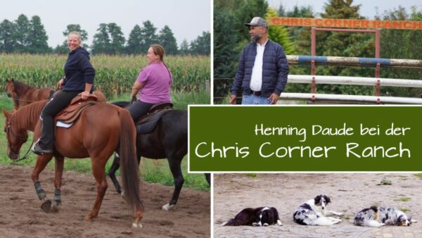 Zweiter Streich bei der „Chris Corner Ranch“