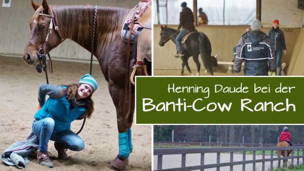 4 Tage – 18 Reiter bei der „Banti-Cow Ranch“!