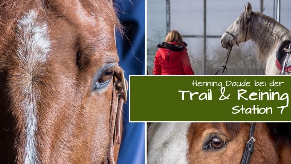 Start in die Kurs-Saison bei der „Trail & Reining Station 7“