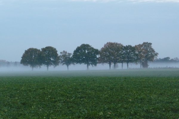 Reitanlage Tönisberg