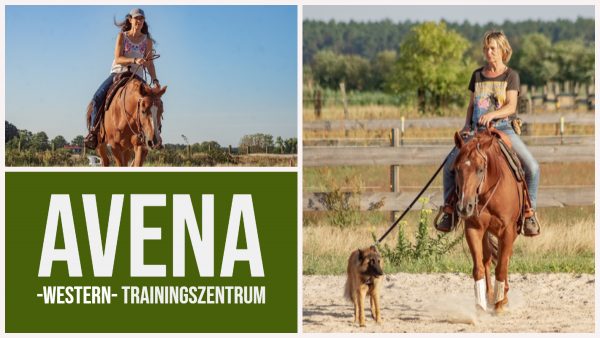 Sommer, Sonne, Kurs bei Avena