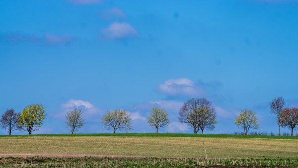KURS BREMEN