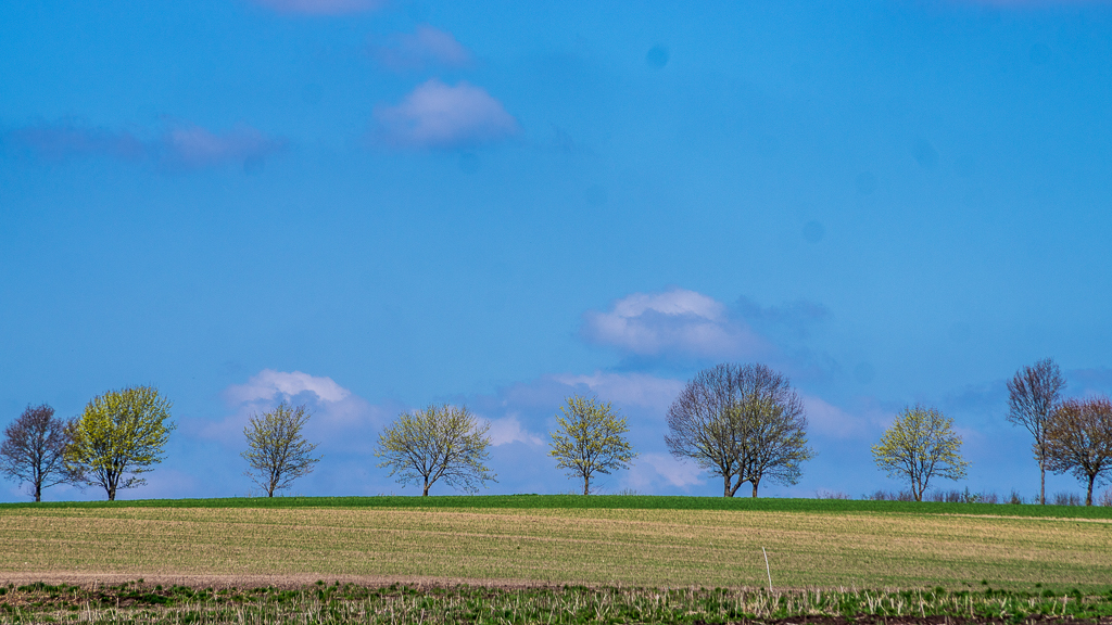 KURS BREMEN