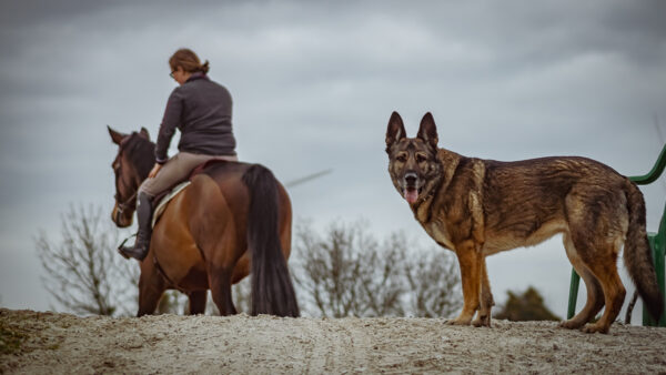 KURS SAARLAND