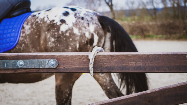 KURS SAARLAND