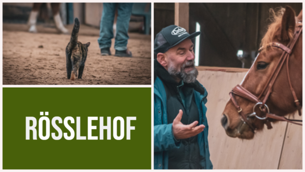 Trainingsauftakt im Schwarzwald