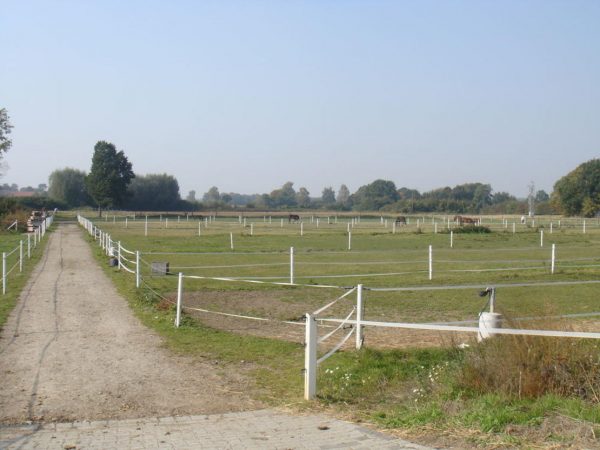 Equine College Gut Sommersell