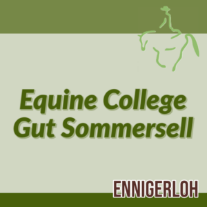 Equine College Gut Sommersell