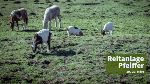 2022: Kurs 1/4 bei der „Reitanlage Pfeiffer“