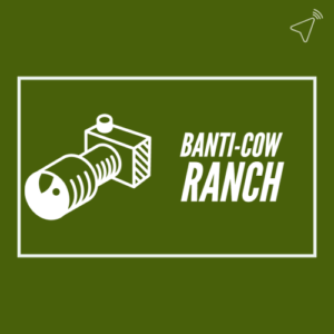 Drei Tage Hochsommer bei der „Banti-cow Ranch“