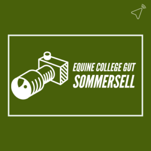 Auf in den Frühling auf „Gut Sommersell“
