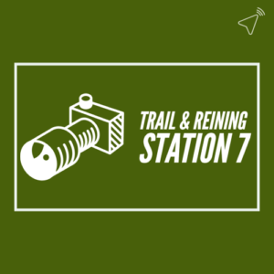 Turnier-Vorbereitung bei der „Trail & Reining Station 7“