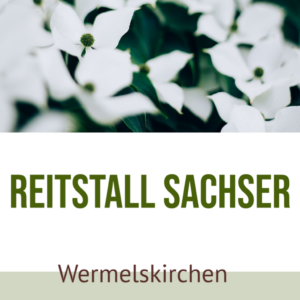 Reitstall Sachser