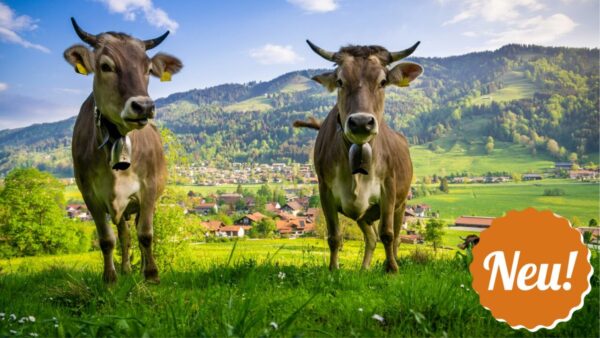 KURS ALLGÄU