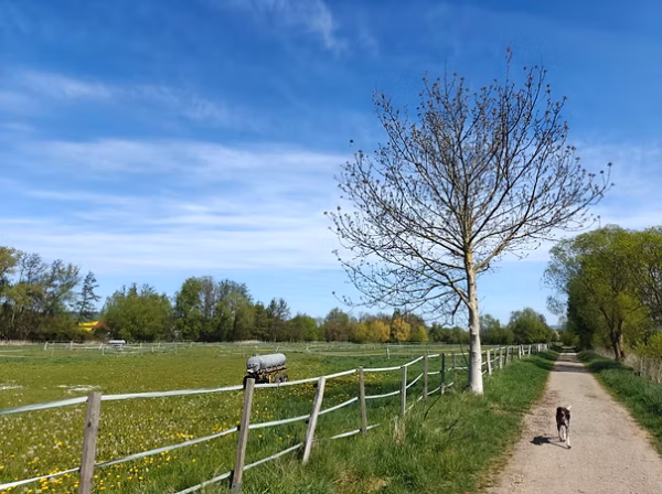 Westernreiten K&K