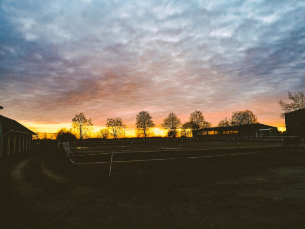 Pferdehof Hohenwalde